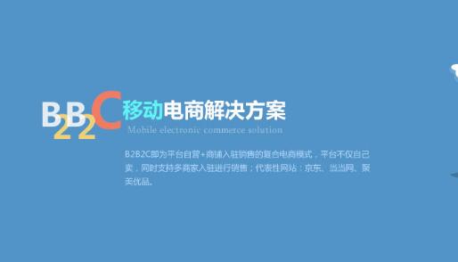 商城网站建设,购物类型的商城建设